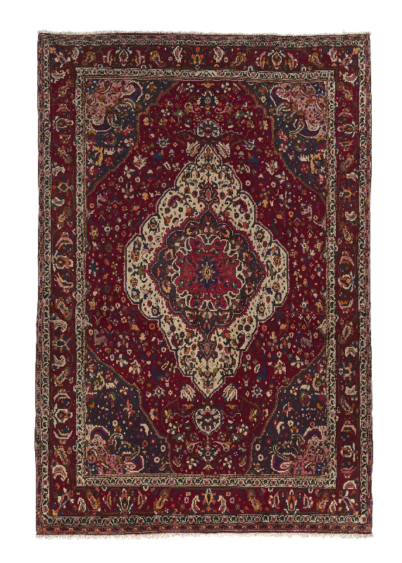 Persian Rug Bakhtiari Handmade Area Tribal 6'9"x10'3" (7x10) Red Floral Design #18596